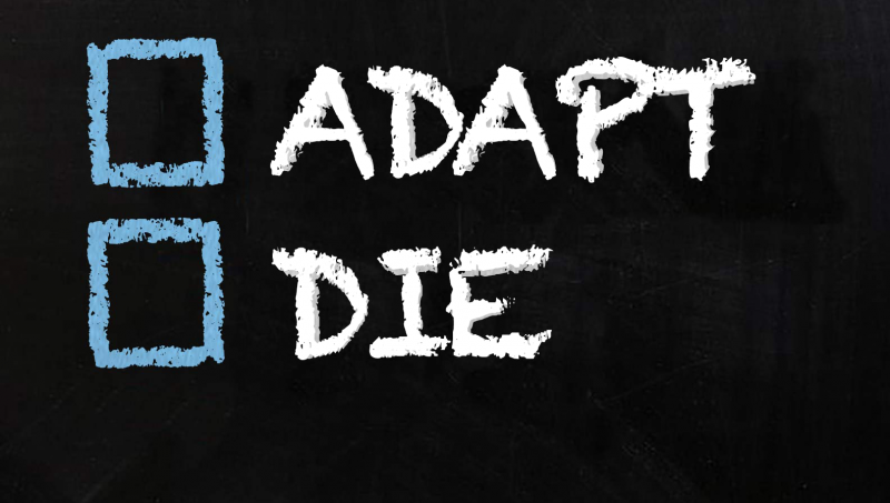 Day 11: Adapt or Die